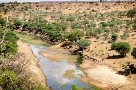 Tarangire landscape Stock Photos