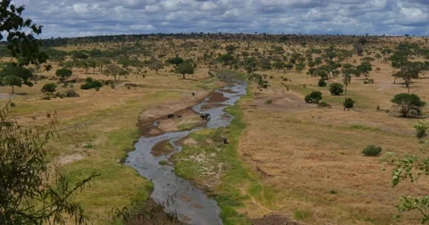Tarangire River Panorama Stock Footage 60377929