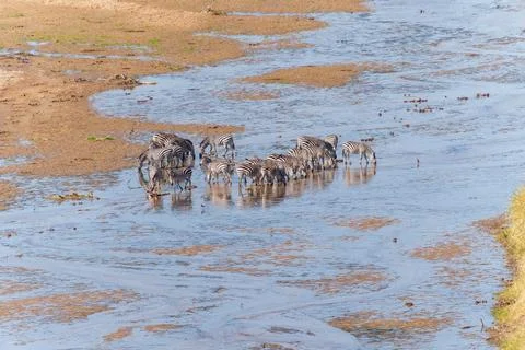 Tarangire River a water source for much life in the National Park in dry se.. Stock Photos