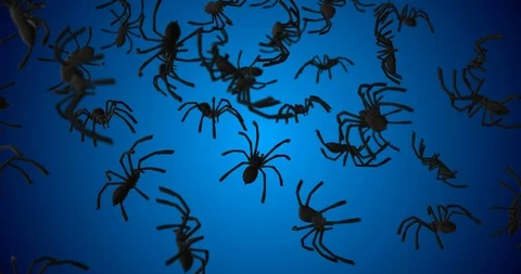 Tarantula falling slow motion Stock Footage 88711733