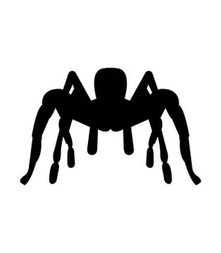 Tarantula icon on white Stock Illustration