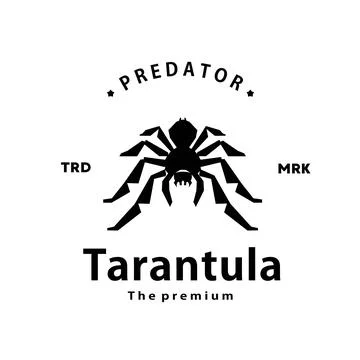 Tarantula logo vector outline silhouette art icon Stock Illustration