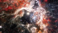 Tarantula nebula cosmic clouds turbulenc, Stock Video