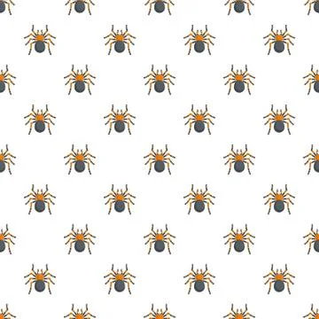 Tarantula pattern seamless Illustrazione stock