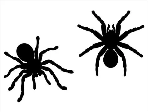 TARANTULA SILHOUETTE VECTOR ART Stock Illustration