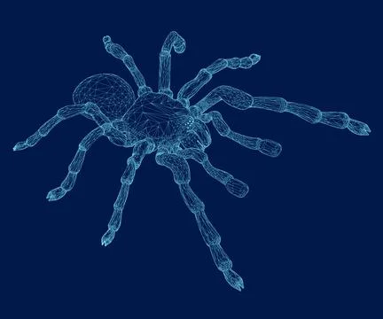 Tarantula spider blue vector wireframe scary Halloween Stock Illustration