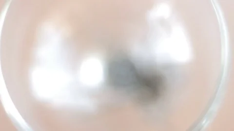 A tarantula spider close up 動画素材 78194237