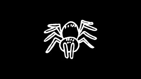 Tarantula Spider Icon Stock Footage 345593762