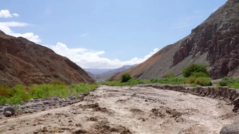 Tarapaca river, Iquique, Chile Stock Footage 266607640