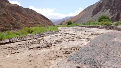 Tarapaca river, Iquique, Chile Stock Footage 266607677