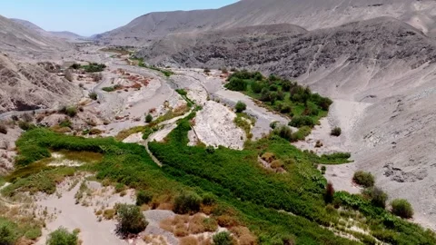 Tarapaca Valley, Huara, Chile Stock Footage 263736746