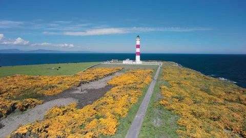 Tarbat Ness Lighthouse from a drone, Portmahomack, Highland, Scotland Stock Footage 197084306