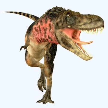 Tarbosaurus Carnivore Dinosaur Stock Illustration