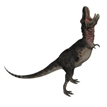 Tarbosaurus dinosaur - 3D render Stock Illustration