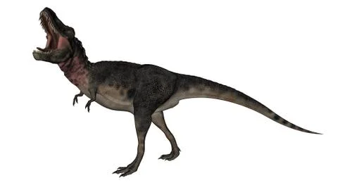 Tarbosaurus dinosaur - 3D render Stock Illustration