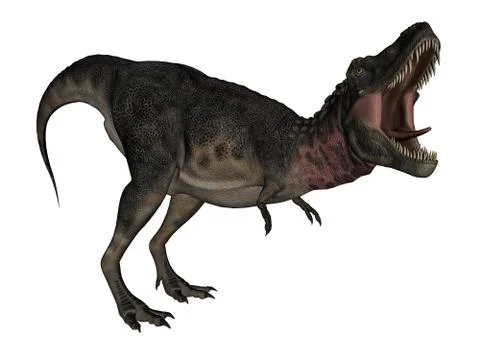 Tarbosaurus dinosaur - 3D render Stock Illustration