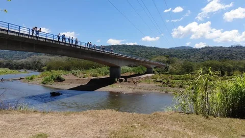 Tarcoles river crocs Stock Footage 127468799