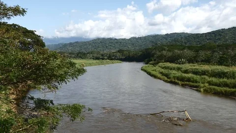 Tarcoles river medium Stock Footage 126659000