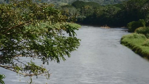 Tarcoles river tight Stock Footage 126659057