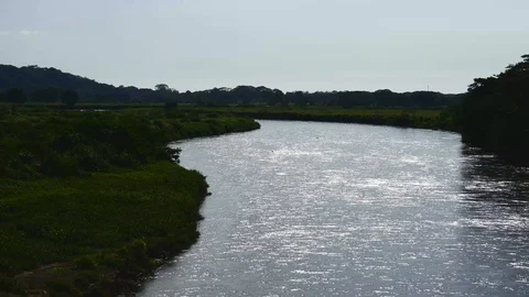 Tarcoles river wide Stock Footage 126659051