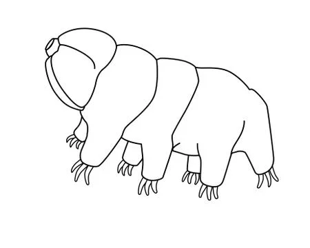 Tardigrades - vector linear picture for coloring with a microscopic animal. Stock Illustration