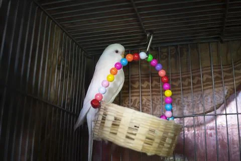 Tarfullhd@gmail.com 스톡 사진