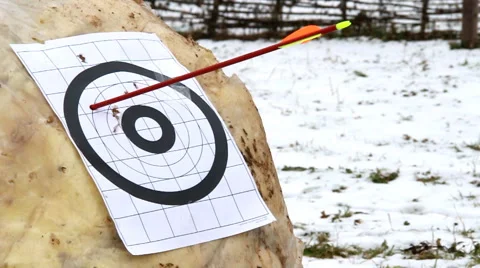 Target and arrows Stock Footage 59635641