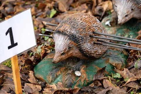 Target for Archery and Arrows - Two Fake Hedgehog Animals Stock Photos