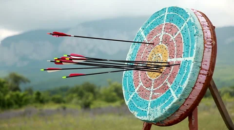 Target for archery. Stock Footage 40444028