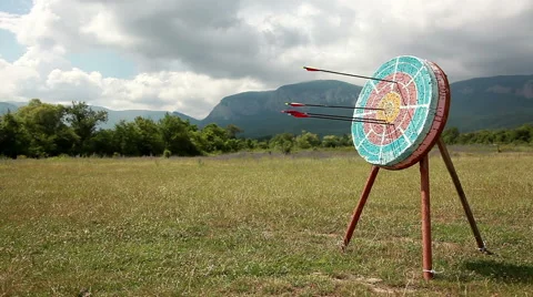 Target for archery. Stock Footage 40468105