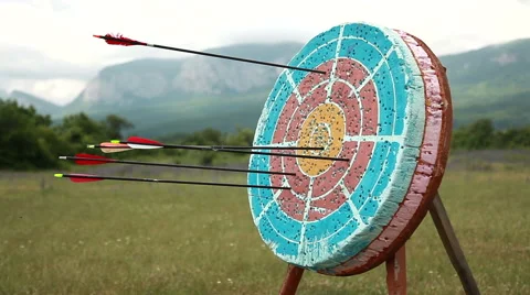 Target for archery. Stock Footage 40598537