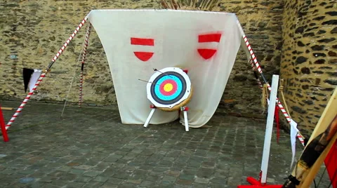 Target archery. Stock Footage 52961984