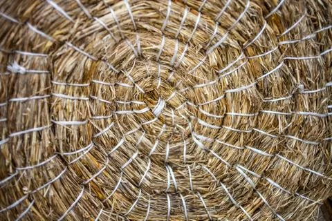 Target for archery made of straw Stock Photos