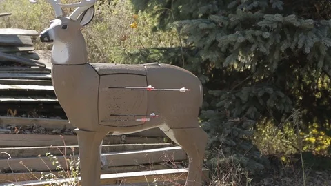  Target With Arrows Mid Shot Day Video stock 92541228