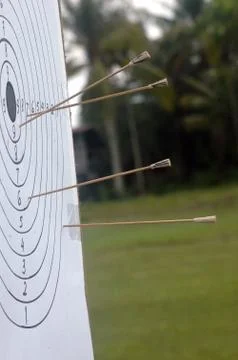 Target board with multiple arrows Stock Photos