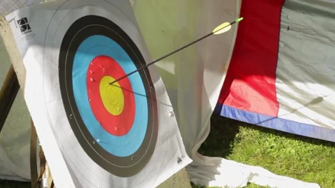 A target for a bow Stock Footage 163567822