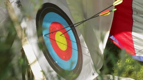 A target for a bow Stock Footage 163567823