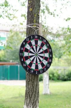 Target darts on a tree summer day Stock Photos