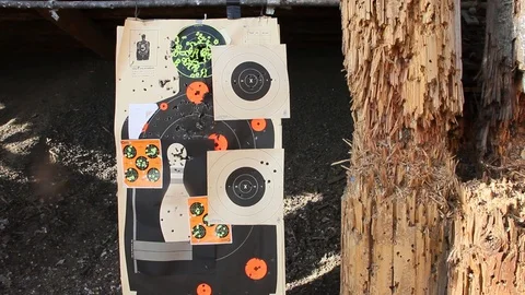 Target on gun range Stock Footage 113909717