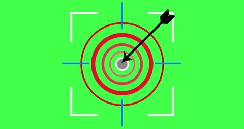 Target hit the bullseye animation on plain background. Stock Footage 336357686