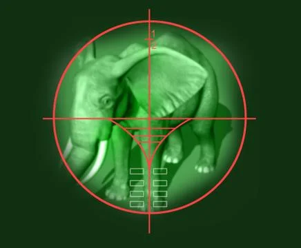 Target Stock Illustration