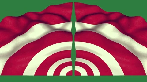 Target Looping Motion Graphic Overlay Stock Footage 338014012