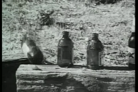 Target practice with bottles Stock-Footage 11366105
