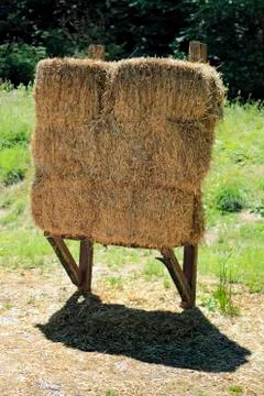 Target support 库存照片