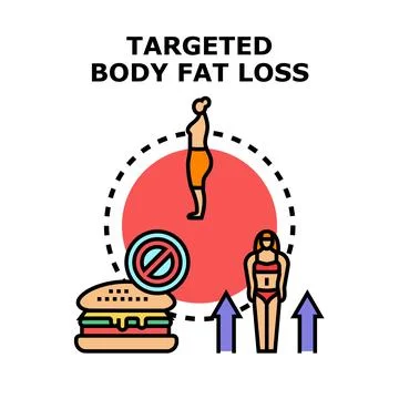 Targeted body fat loss achieving healthy weight Stock Illustration
