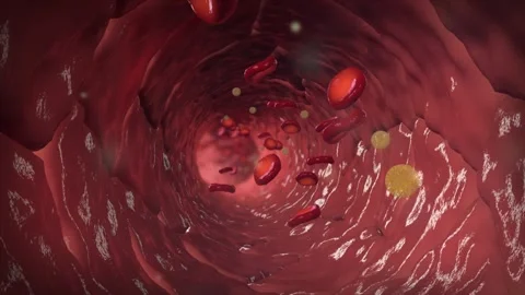 Targeted drug molecules travel through the bloodstream Vídeos de archivo 345011982