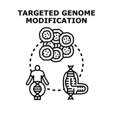Targeted genome modification concept for genetic engineering Stock Illustration