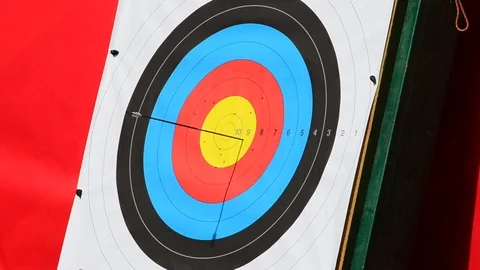 Targets for archery.  Vidéo 116398668