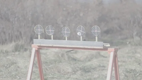 Targets Getting Shot in Slow Motion - 1080p 120fps Slog3 Stock Footage 104426454