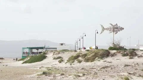 Tarifa beach with a beach bar in the background Stock Footage 239997348